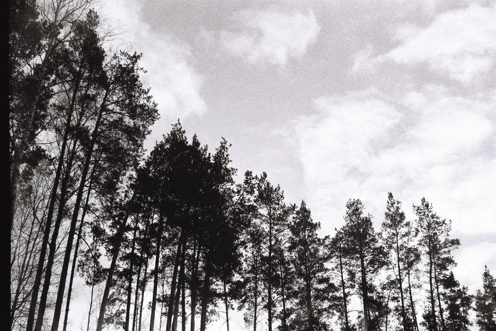 Photograph by Вася Кондратов