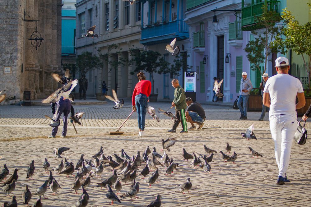 Photograph by Evelyn Carnot Montes