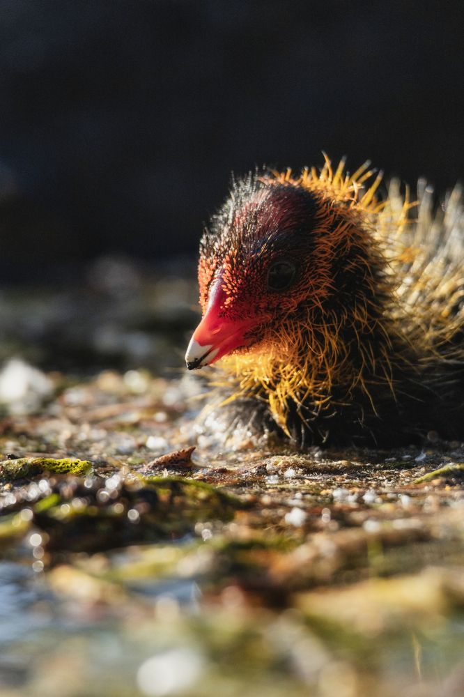 Photograph by Anton Gavrilov