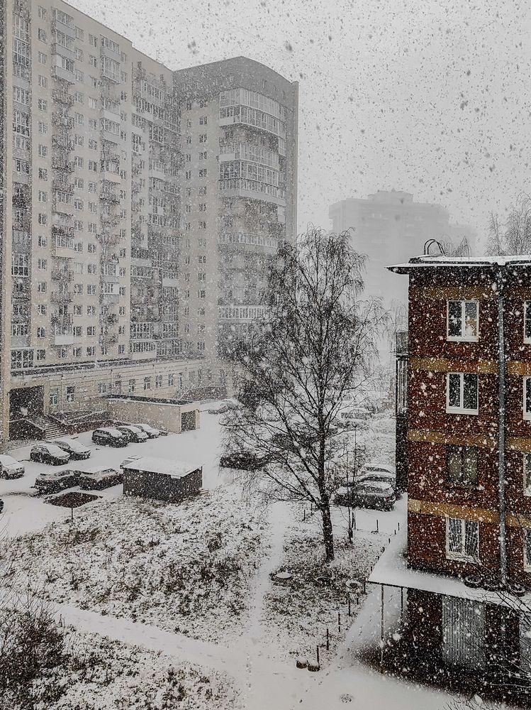 Фотография автора Алиса Исаева