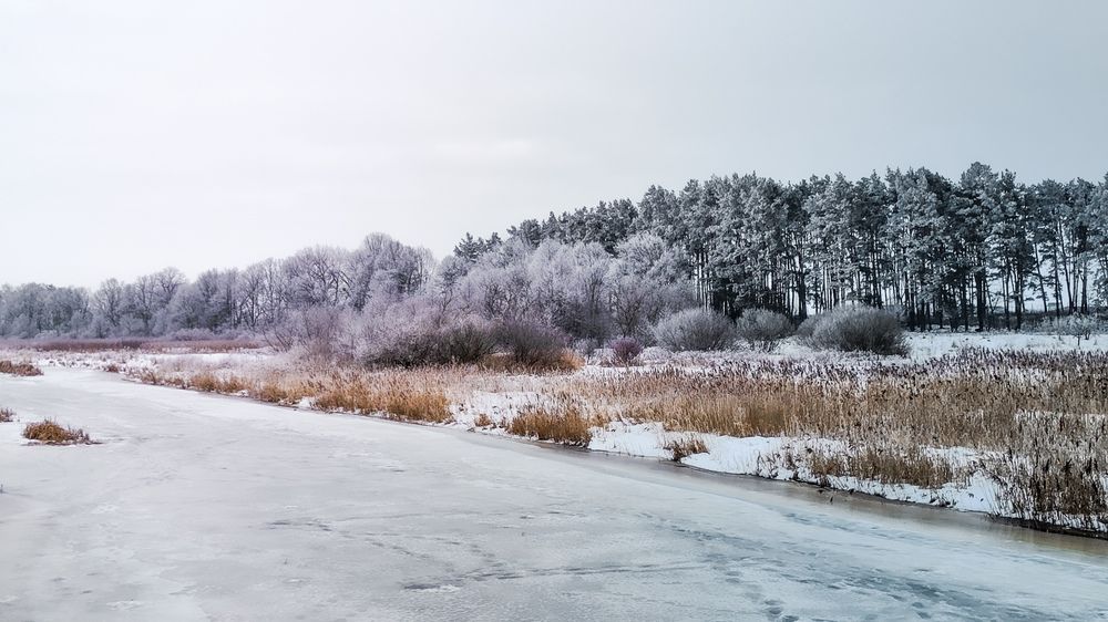 Фотография автора Алиса Исаева