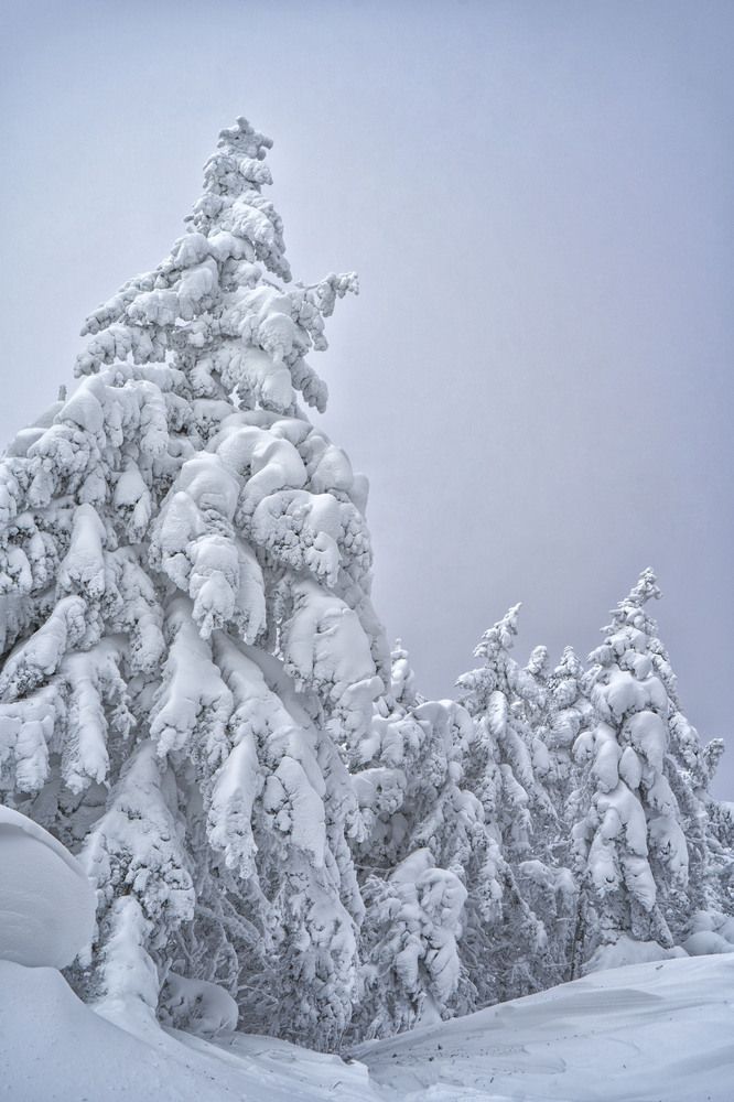 Photograph by Алена Котова