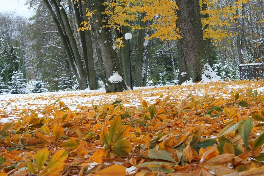 Photograph by Edmund Randal