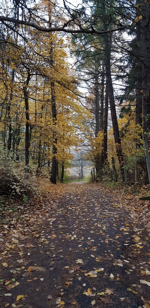 Photograph by Edmund Randal