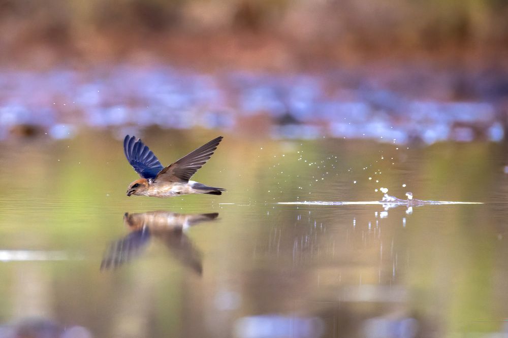 Photograph by Alexander Babych