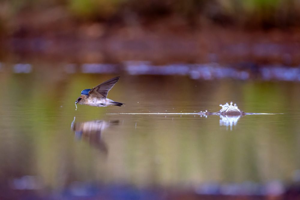 Photograph by Alexander Babych