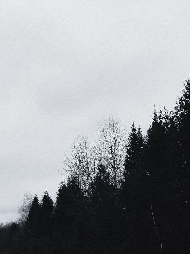 Фотография автора Алиса Исаева