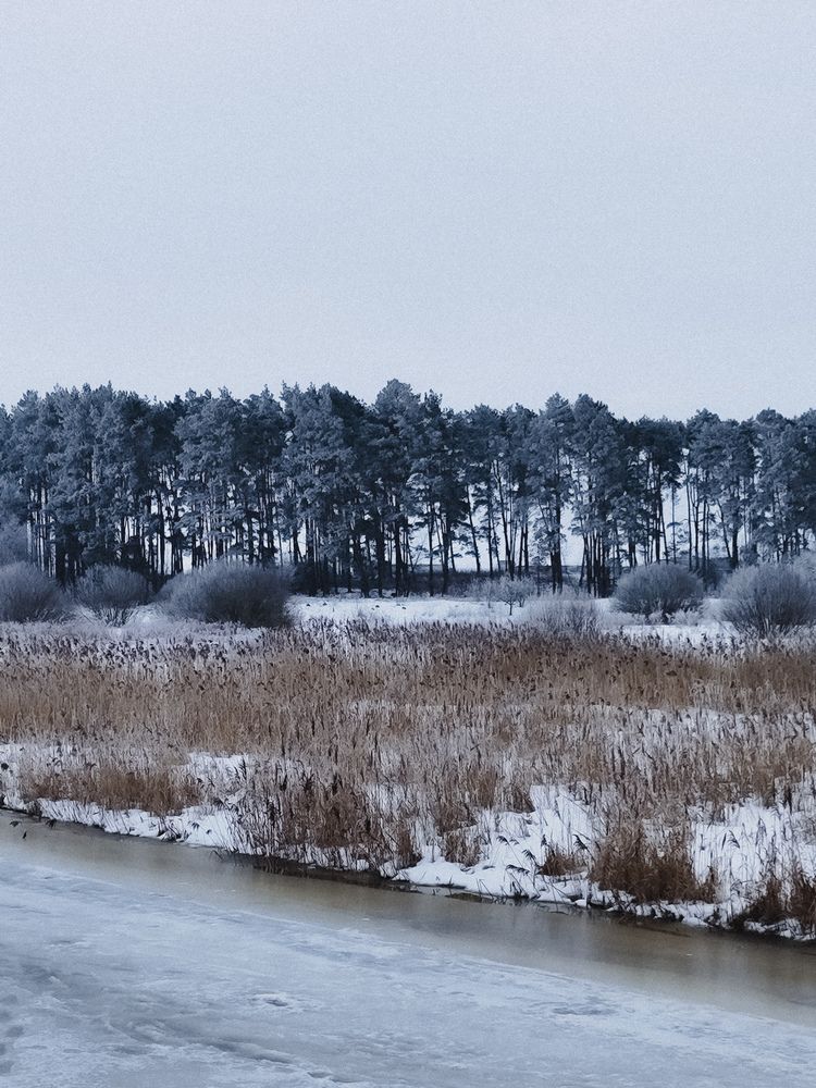 Фотография автора Алиса Исаева