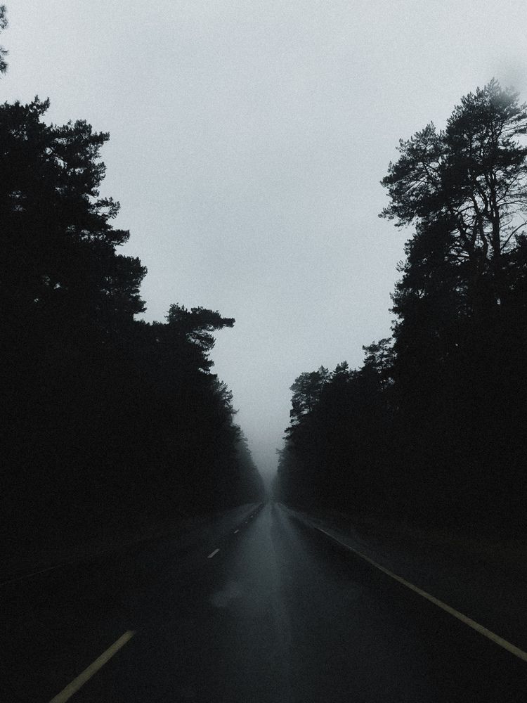 Фотография автора Алиса Исаева