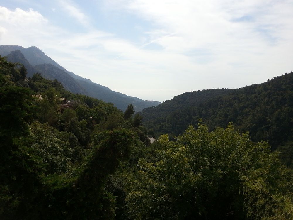 Photograph by Edmund Randal