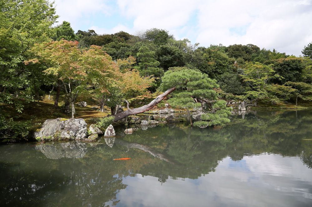 Photograph by Игорь Павель