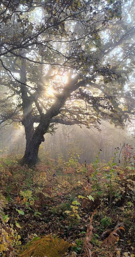 Photograph by Анастасия Устинова