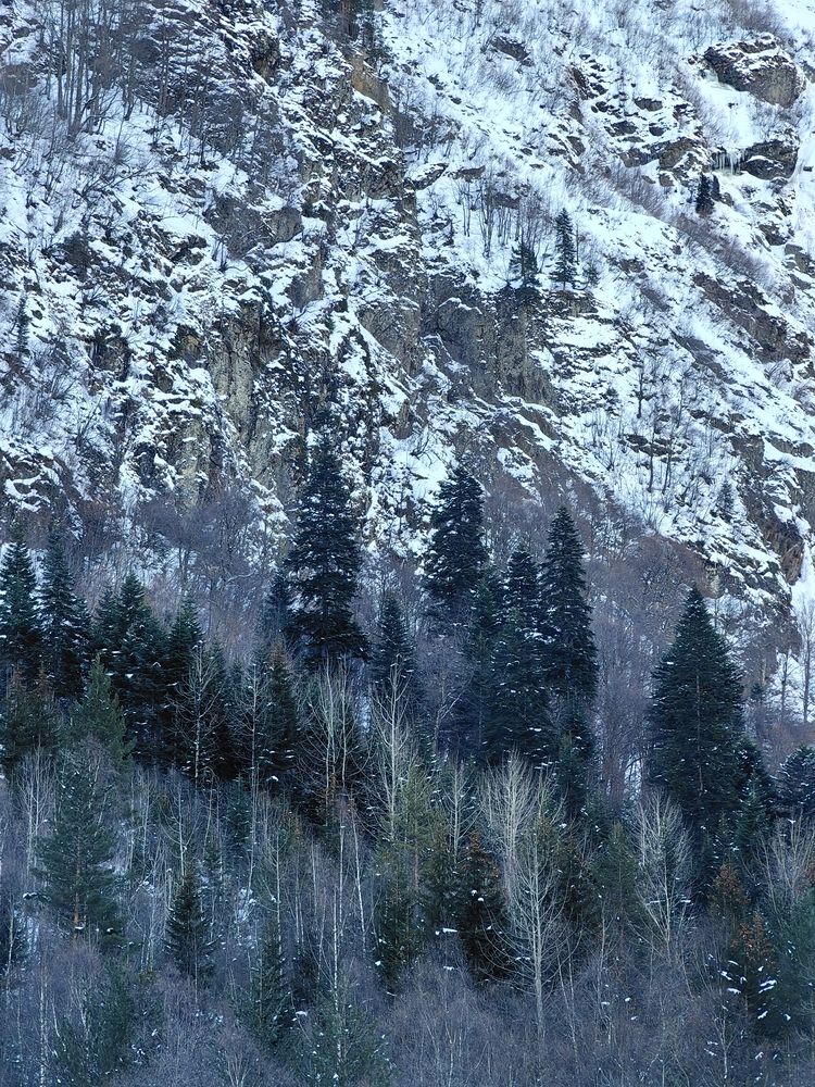 Photograph by Игорь Крыжко