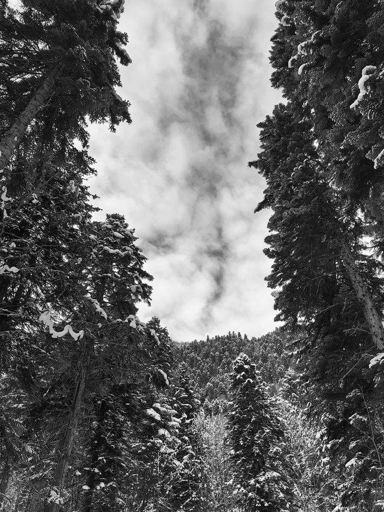 Photograph by Игорь Крыжко