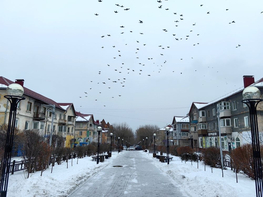 Photograph by Игорь Крыжко