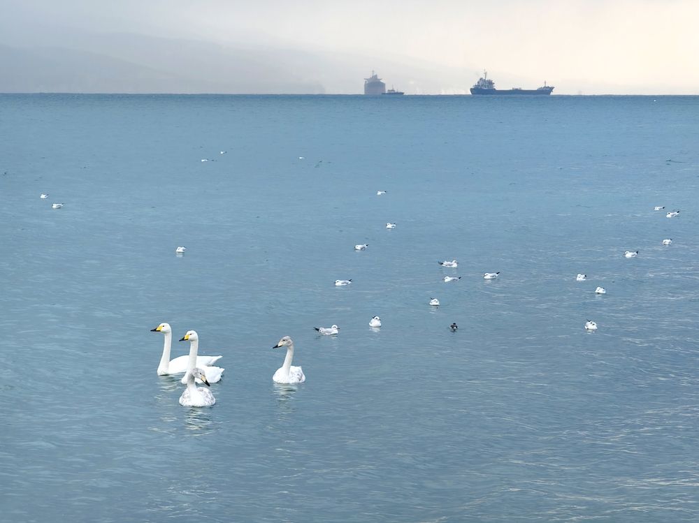 Photograph by Игорь Крыжко