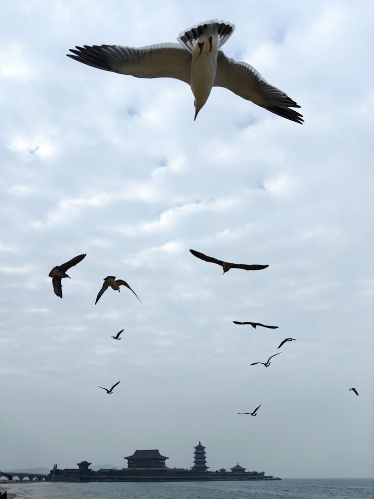 Photograph by Игорь Крыжко