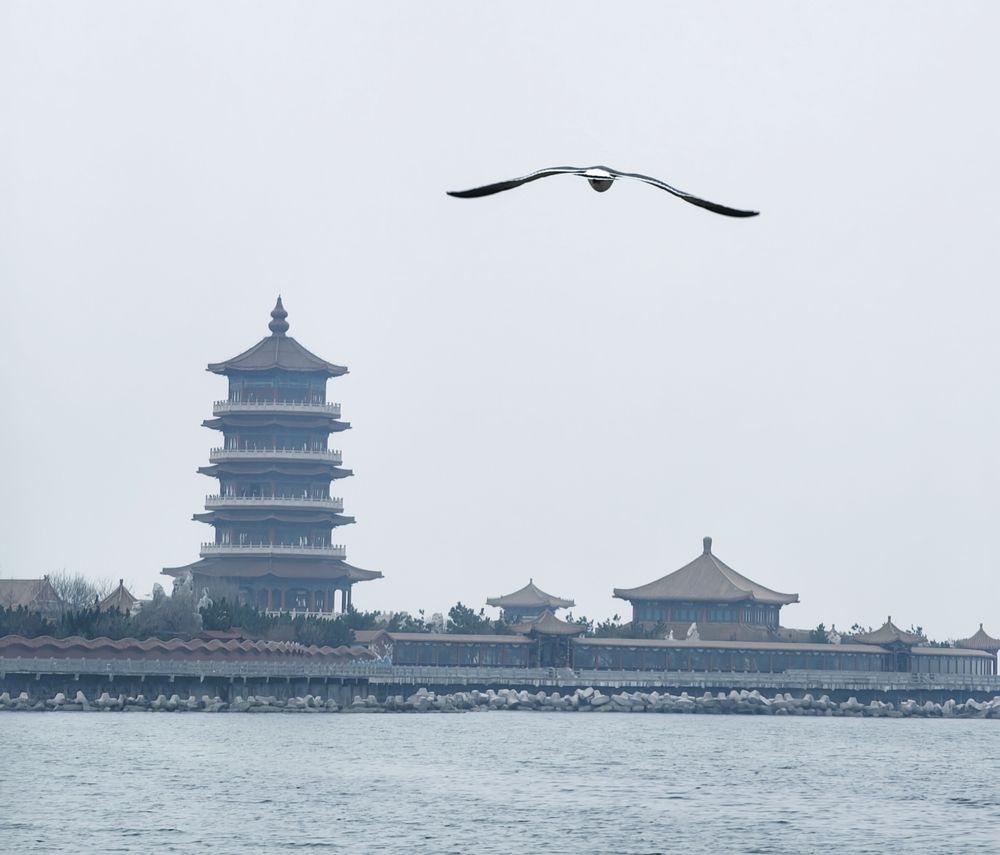 Photograph by Игорь Крыжко