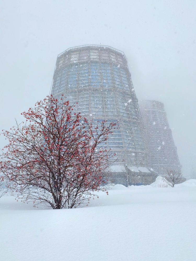 Фотография автора Илья
