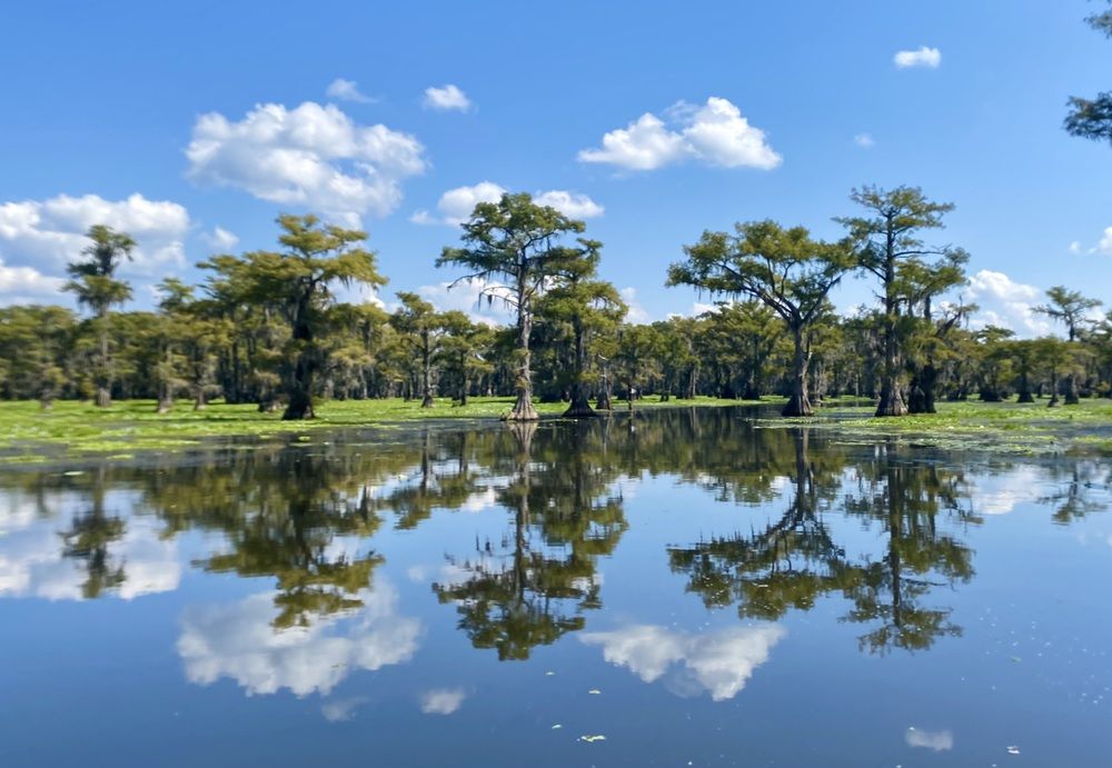 Photograph by Elena Reid