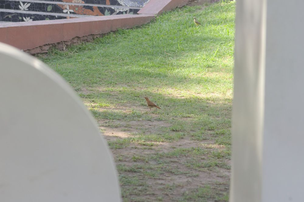 Photograph by Guillermo Topp