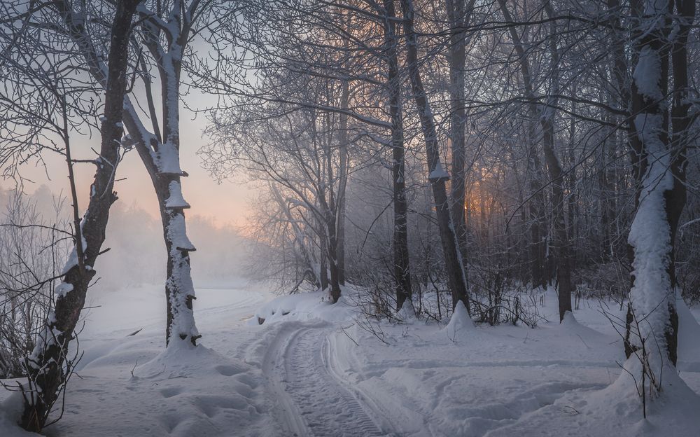 Photograph by Жора Житников