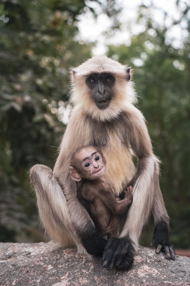 Фотография автора Maksim Vasilets