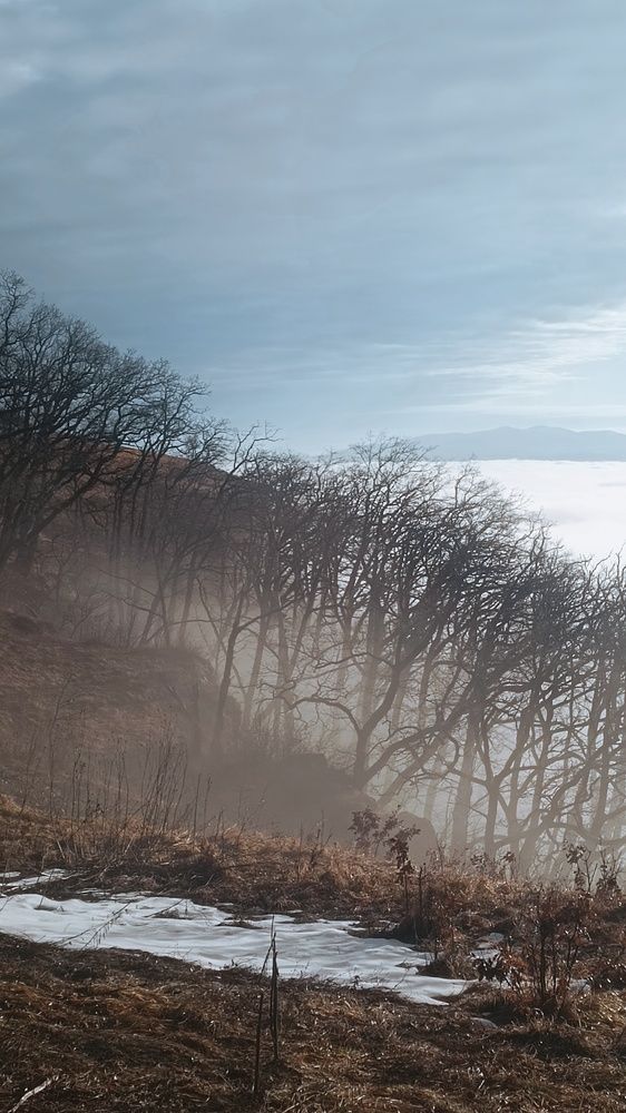 Photograph by Виталий Мартынов