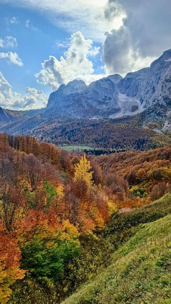 Photograph by Виталий Мартынов