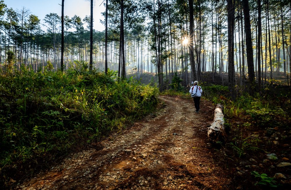 Photograph by Dũng Phùng