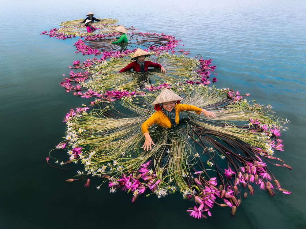 Photograph by Bao Nguyen