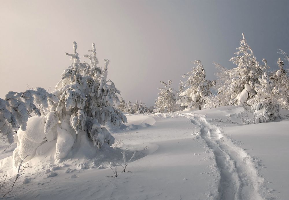 Фотография автора Госпадарёв Александр