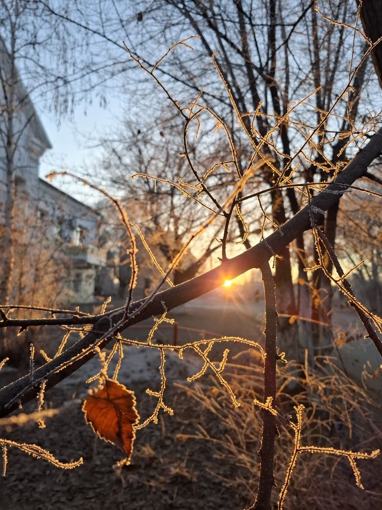 Photograph by Евгения Митюшкина