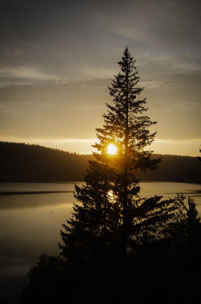 Photograph by Светлана Кудянова