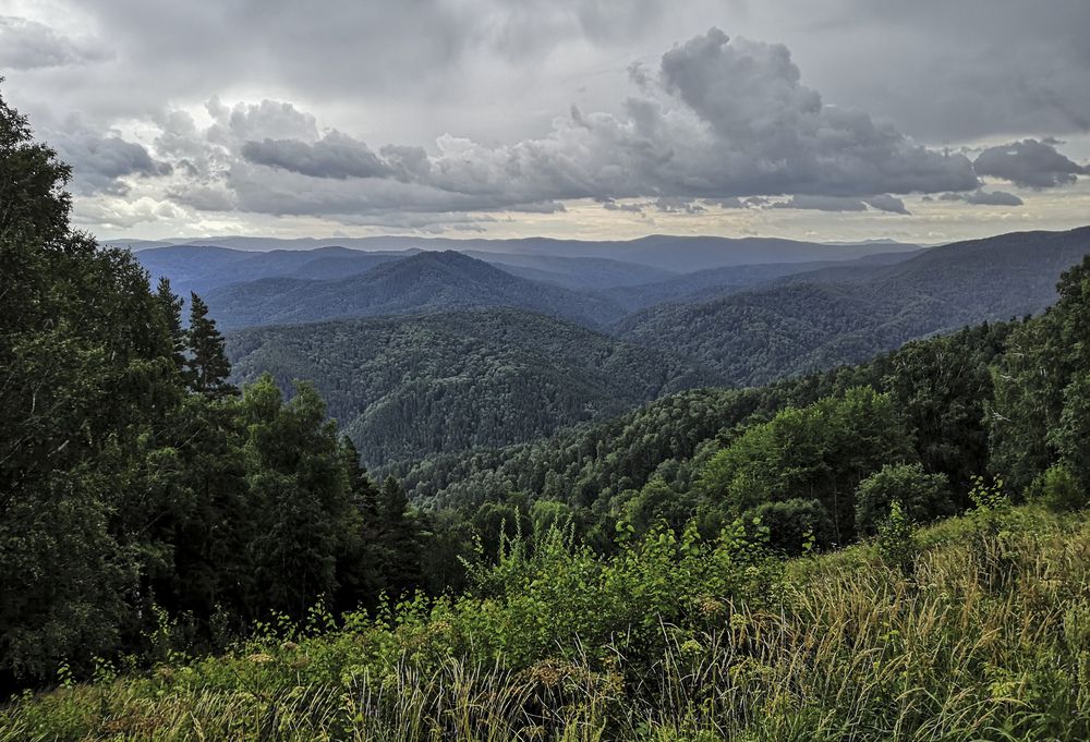 Фотография автора Андрей Данильсон