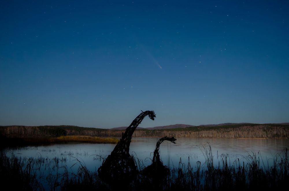 Photograph by Светлана Кудянова