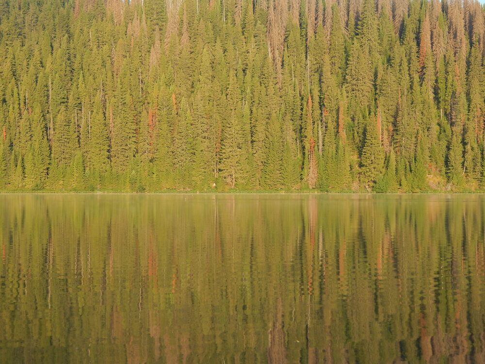 Фотография автора Ирина Моршинина