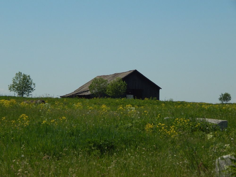 Фотография автора Ирина Моршинина