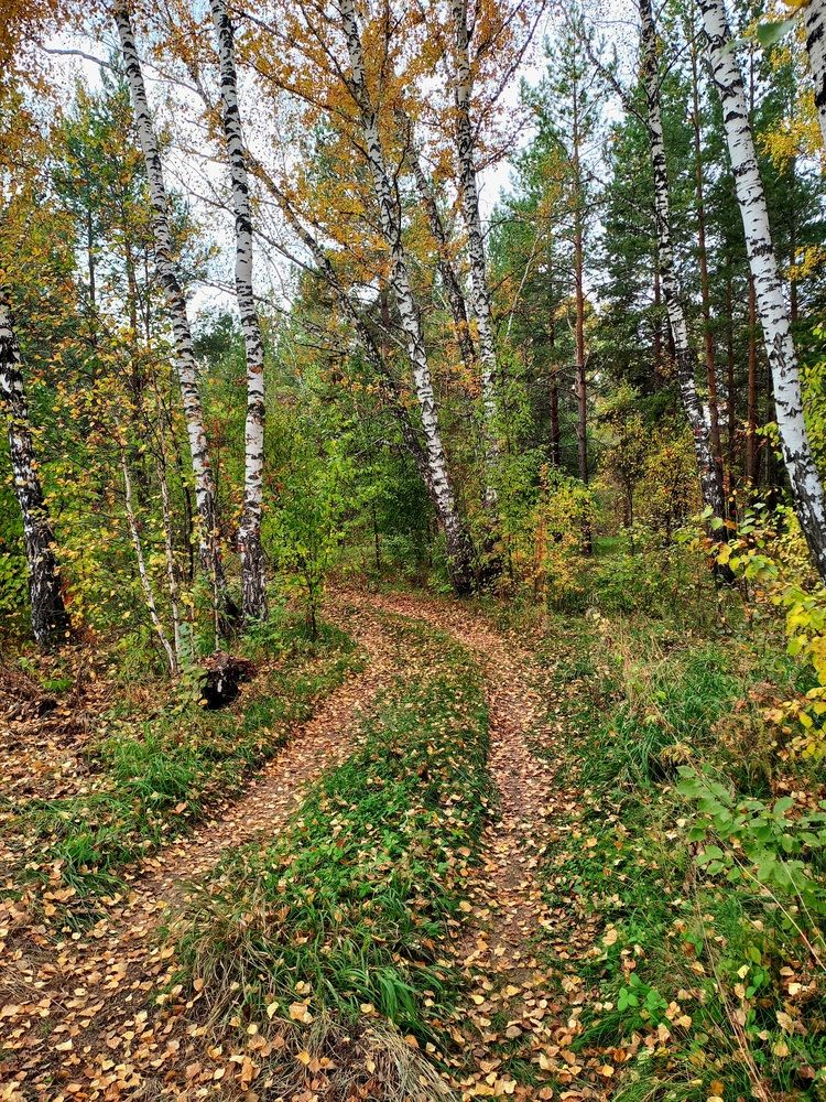 Фотография автора Наталья Крутицких