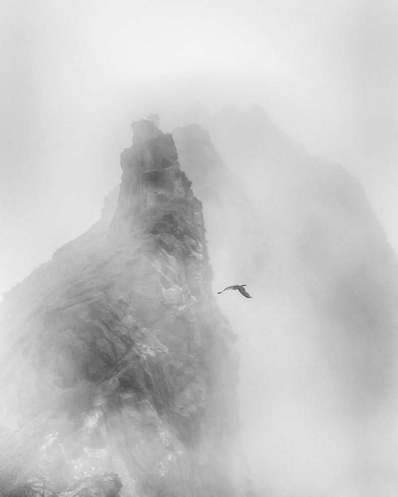 Фотография автора Анна Олещук