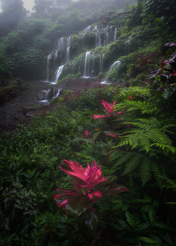 Photograph by YI-HSUN CHOU