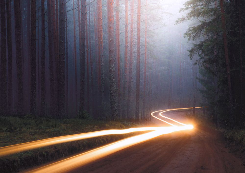 Photograph by Тимофей Шутов