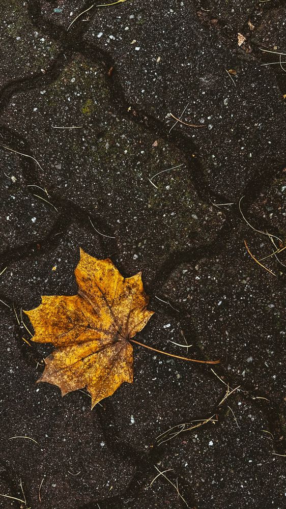 Photograph by Anastasya