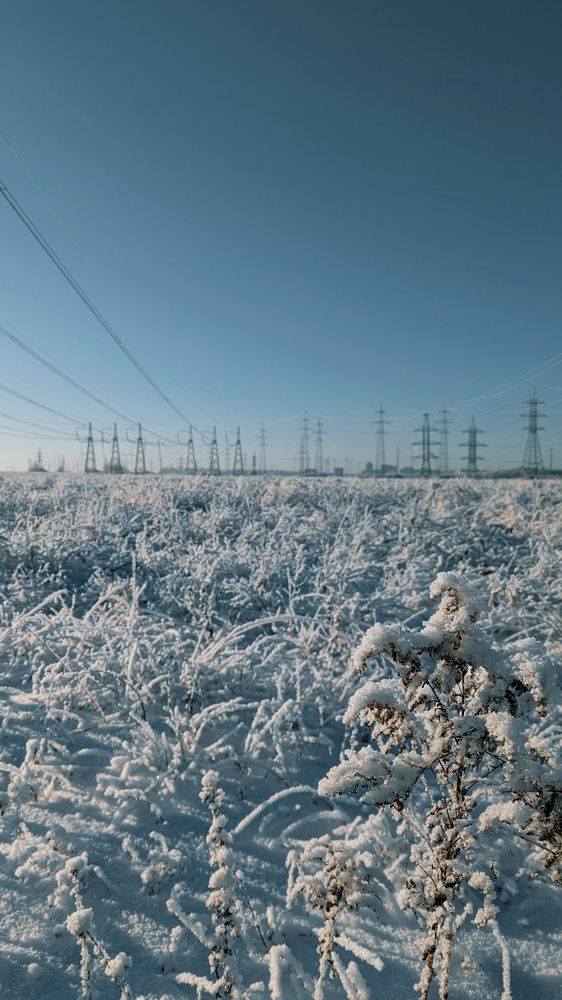 Photograph by Владимир Васенев