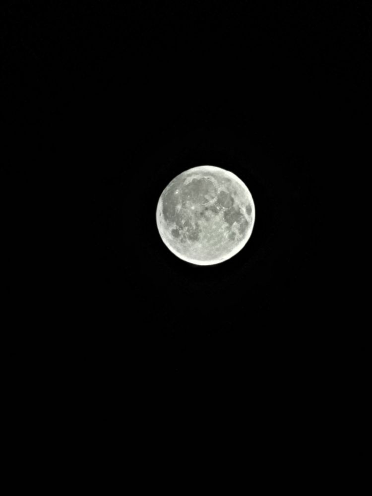 Photograph by Disha Balwani