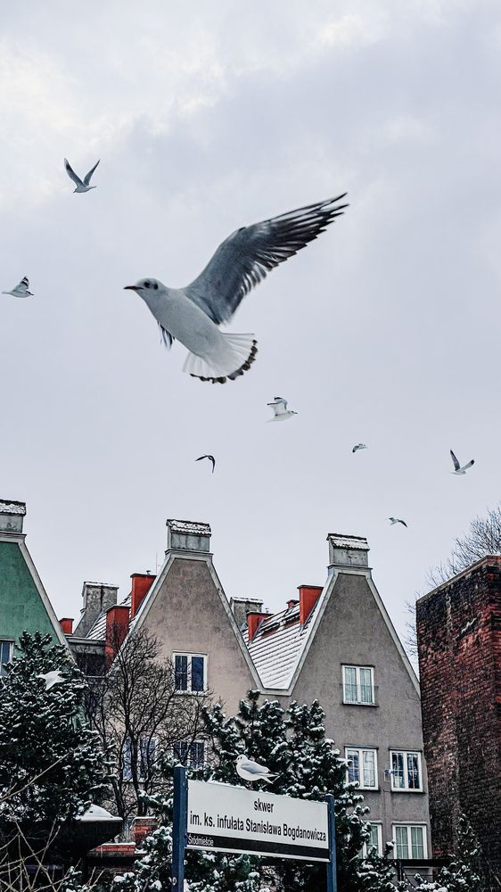 Photograph by Людмила Казак