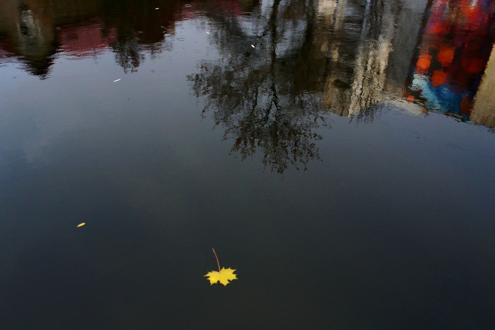 Photograph by Игорь Кравцов