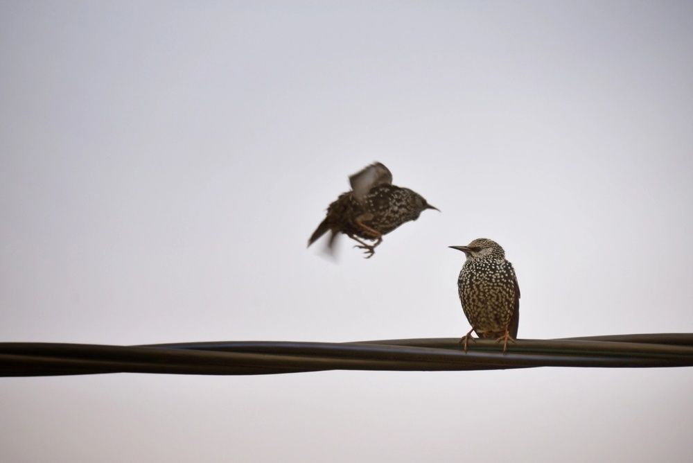 Фотография автора Мария