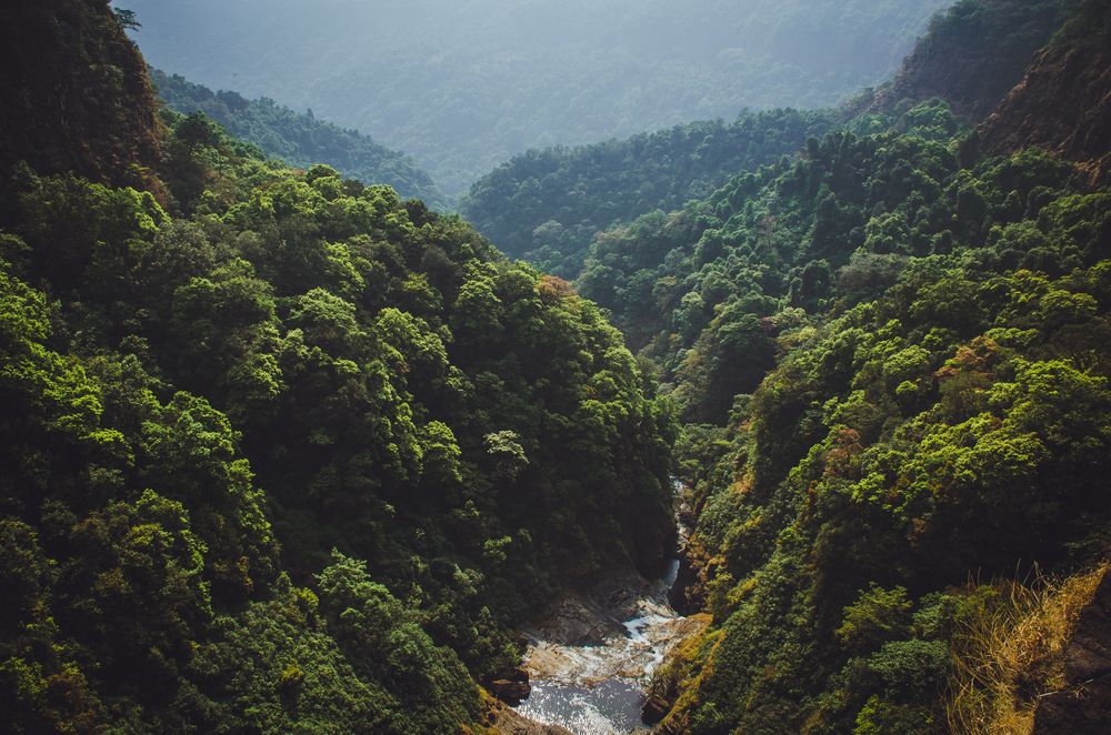 Photograph by Юлия Подлеснова