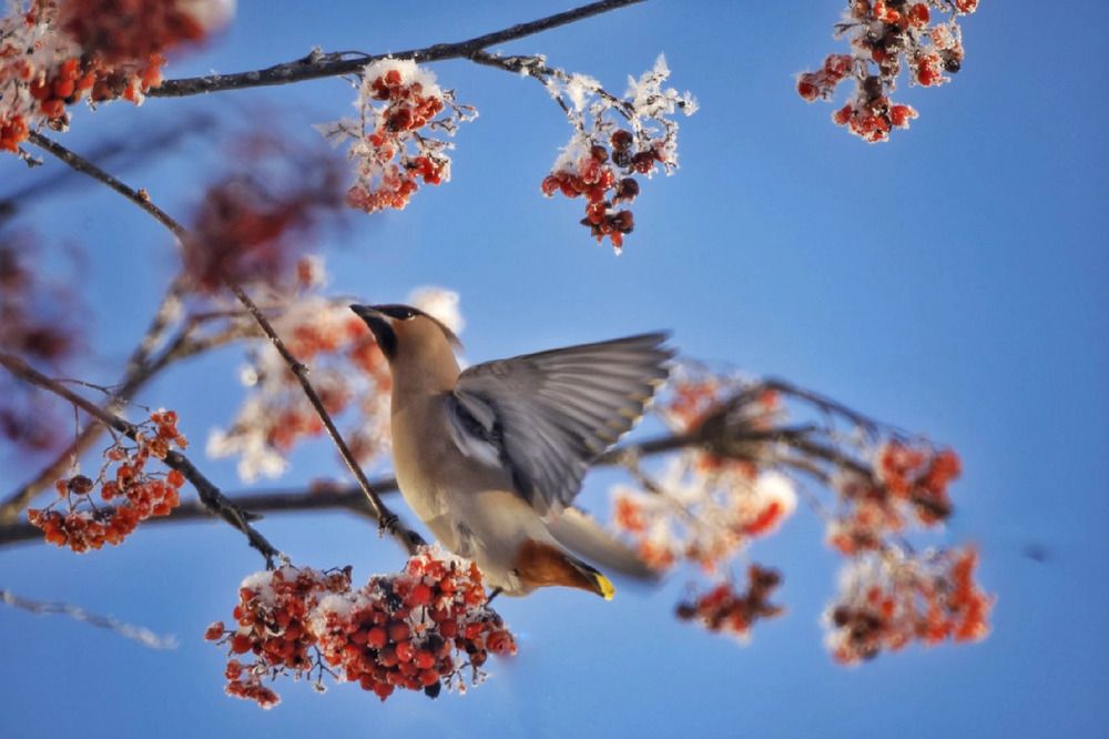 Photograph by Vladimir Freedom